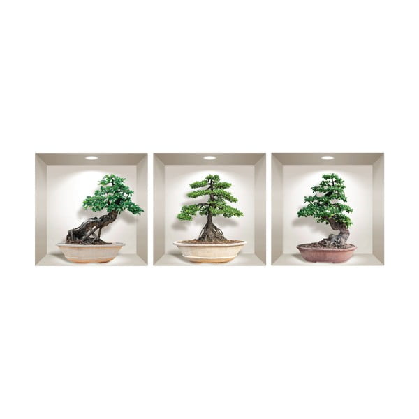 Ginseng Bonsai 3 db-os 3D falmatrica szett - Ambiance-image-2