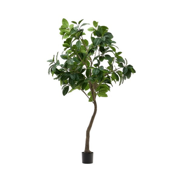 Fikusz műnövény (magasság 210 cm) Ficus – Kave Home
