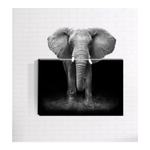 Afrika 3D fali kép, 40 x 60 cm - Mosticx