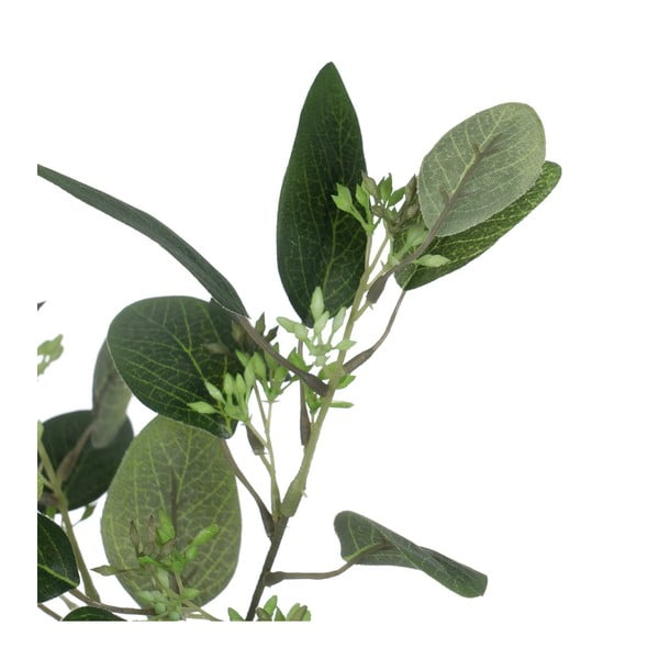Eukaliptusz műnövény (magasság 59 cm) – Ixia-image-1