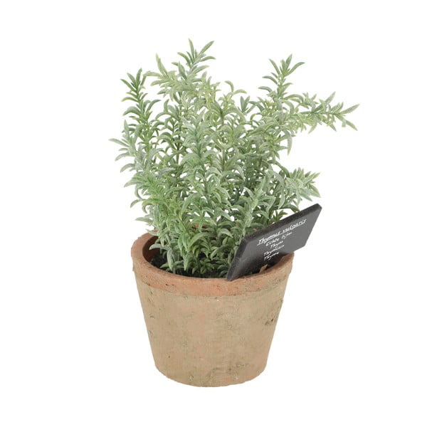 Műnövény (magasság 21,5 cm) Thyme – Esschert Design-image-3