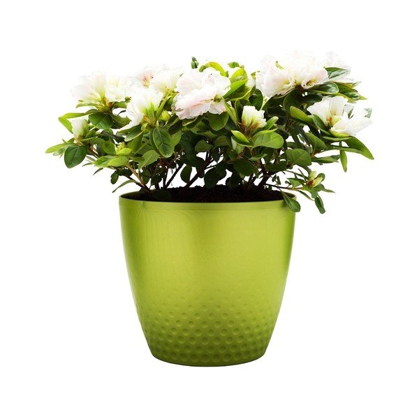 Perla zöld kaspó, ø 21,5 cm - Plastia-image-1