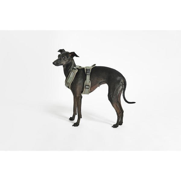 Zöld hám L hosszúság 42 cm Modena Grolive L – MiaCara-image-1