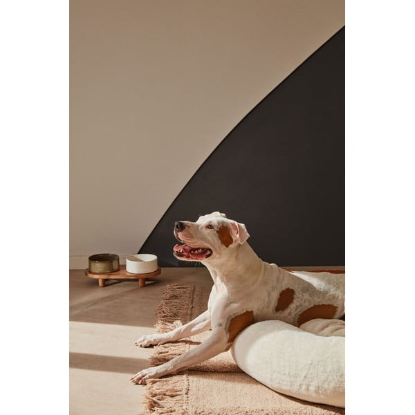 Kerámia kutyatálka szett 2 db-os Dumbi - Kave Home-image-4