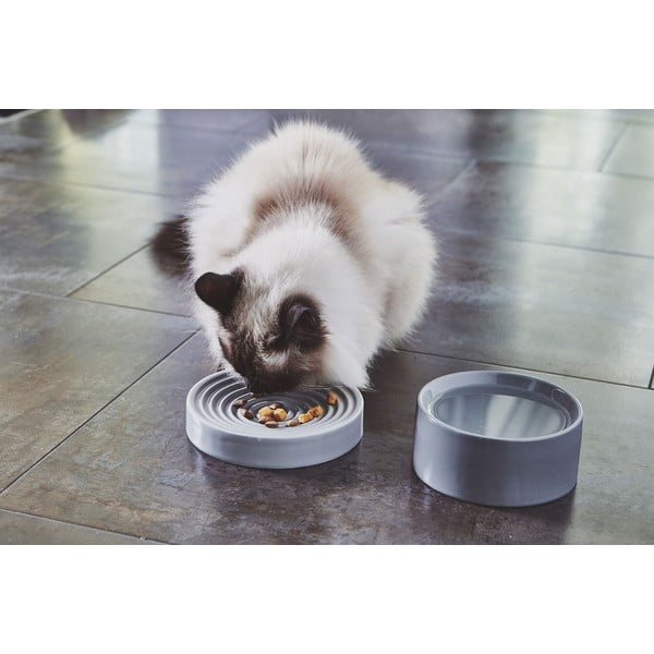 Porcelán tálka macskáknak ø 14 cm Fresco Concrete S – MiaCara-image-3