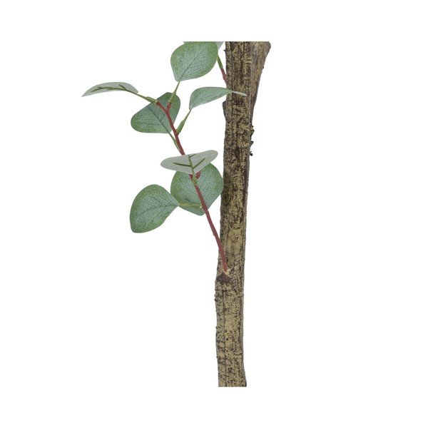 Eukaliptusz műnövény (magasság 180 cm) Eucalyptus – Ixia-image-4