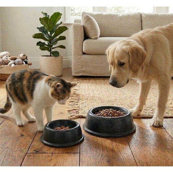 Agyagkerámia tálka kisállatoknak ø 21 cm – Casafina-image-2