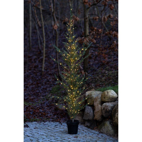 Zöld kültéri fénydekoráció ø 55 cm Milas – Sirius-image-1