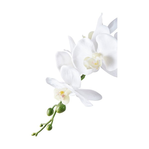 Művirág (magasság 47 cm) Orchid – House Nordic-image-2