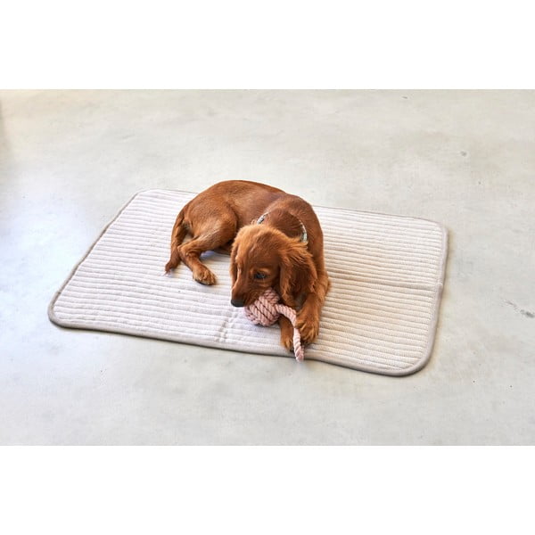 Bézs pamut takaró kutyáknak 90x120 cm Onda Greige L – MiaCara-image-2