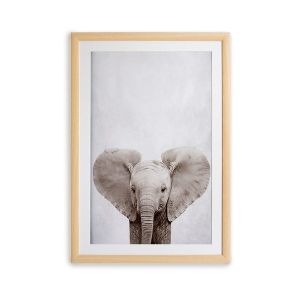 Elephant keretezett falikép, 30 x 40 cm - Surdic