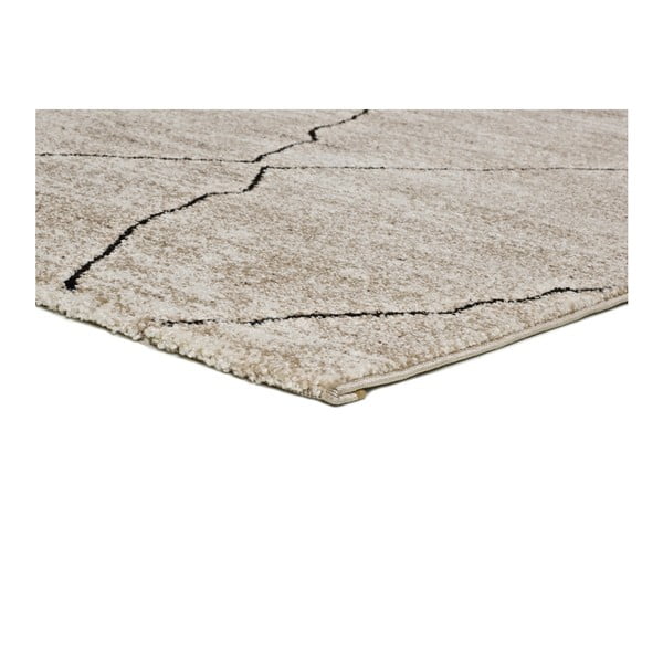Hydra Beige bézs szőnyeg, 160 x 230 cm - Universal-image-2