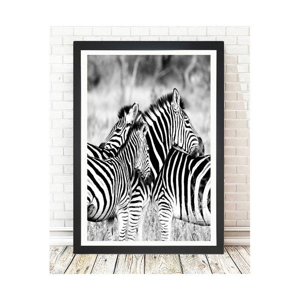 Zebras kép, 24 x 29 cm - Tablo Center-image-1