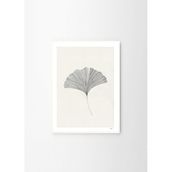 Poszter 50x70 cm Ginkgo Leaf – Ana Frois – The Poster Club-image-4