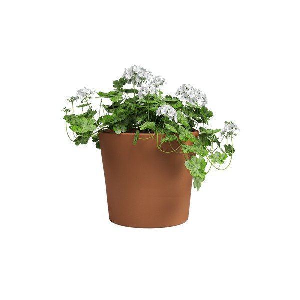Terrakotta virágcserép ø 39 cm Manuel – Artevasi-image-2