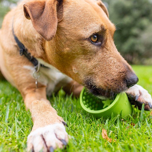 Habzsolásgátló tál Yoggie Pot Green – LickiMat-image-4