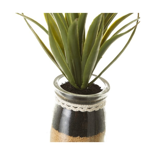 Műnövény szett 4 db-os (magasság 18 cm) Cactus – Casa Selección-image-2