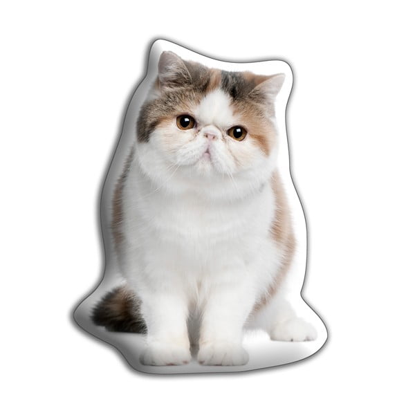 Egzotikus rövidszőrű cica párna - Adorable Cushions
