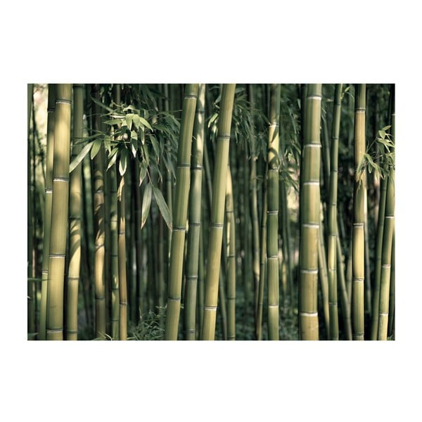 Bamboo Exotic nagyméretű tapéta, 200 x 140 cm - Artgeist