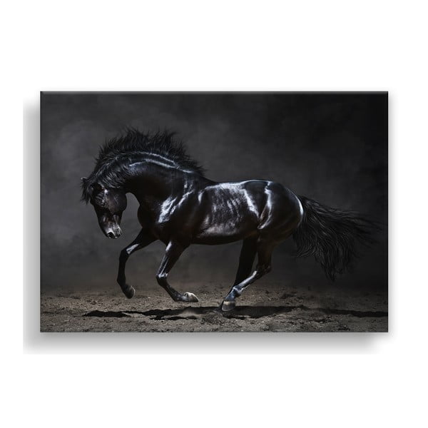 Canvas Silver Uno Horse kép, 85 x 113 cm - Styler