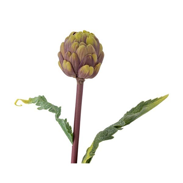 Művirág (magasság 54 cm) Protea – Bloomingville-image-2
