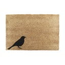 Kókuszrost lábtörlő 40x60 cm Bird – Artsy Doormats