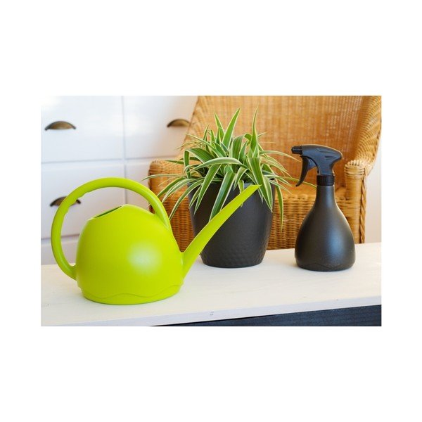 Medusa zöld locsolókanna, 1,8 l - Plastia-image-2