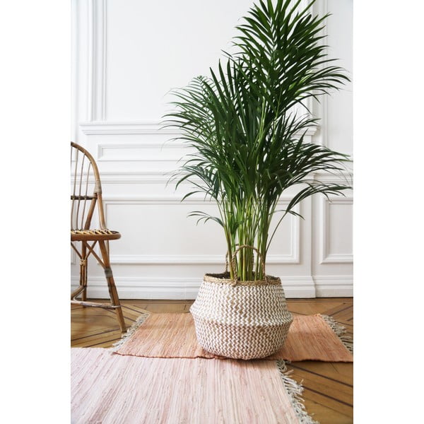 Zic Zac világos tengerifű tárolókosár, ⌀ 35 cm - Compactor-image-2