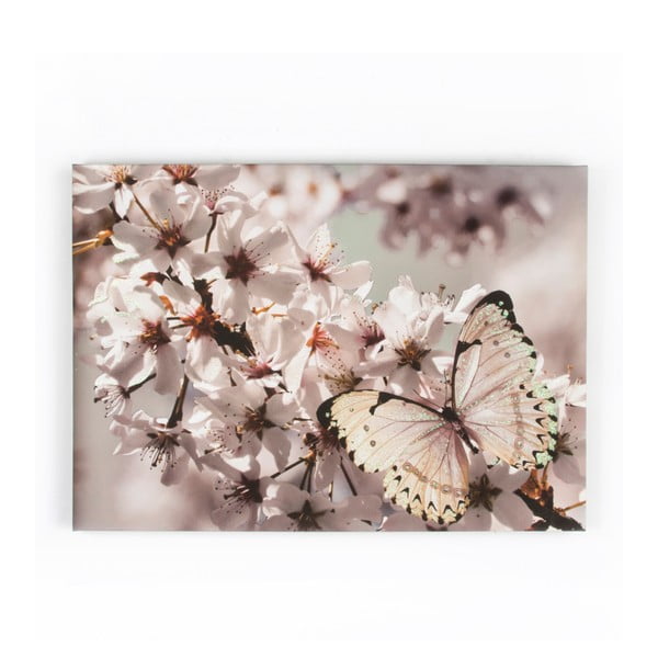 Butterfly Branch kép, 70 x 50 cm - Graham & Brown