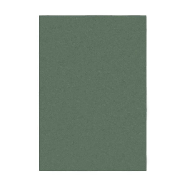 Zöld szőnyeg 160x230 cm – Flair Rugs