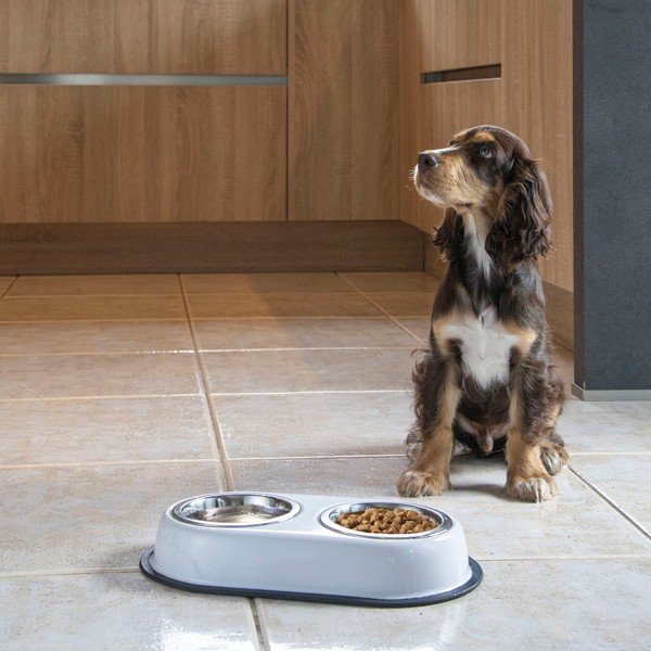 Műanyag tálka szett állvánnyal kutyáknak – Love Story-image-1