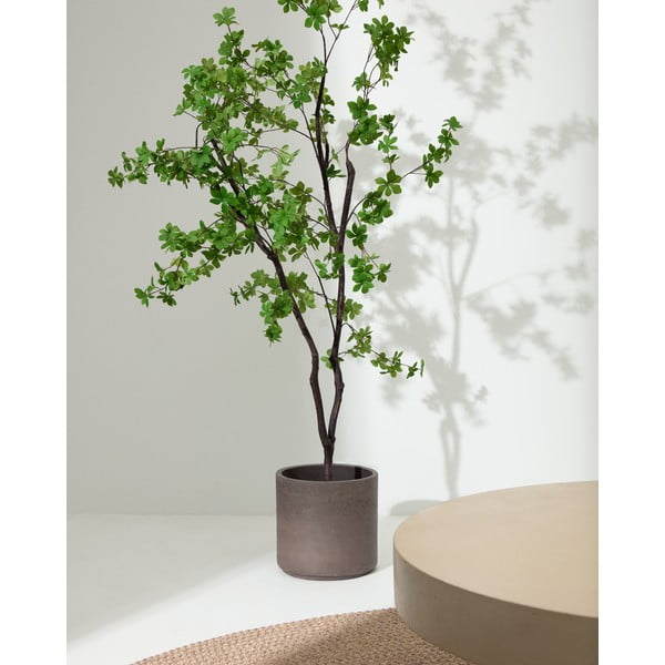 Műnövény (magasság 214 cm) Enkianthus – Kave Home-image-1