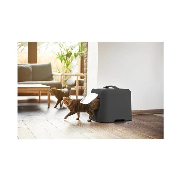 Antracitszürke macskatoalett és lapát szett Biala – Rotho-image-3