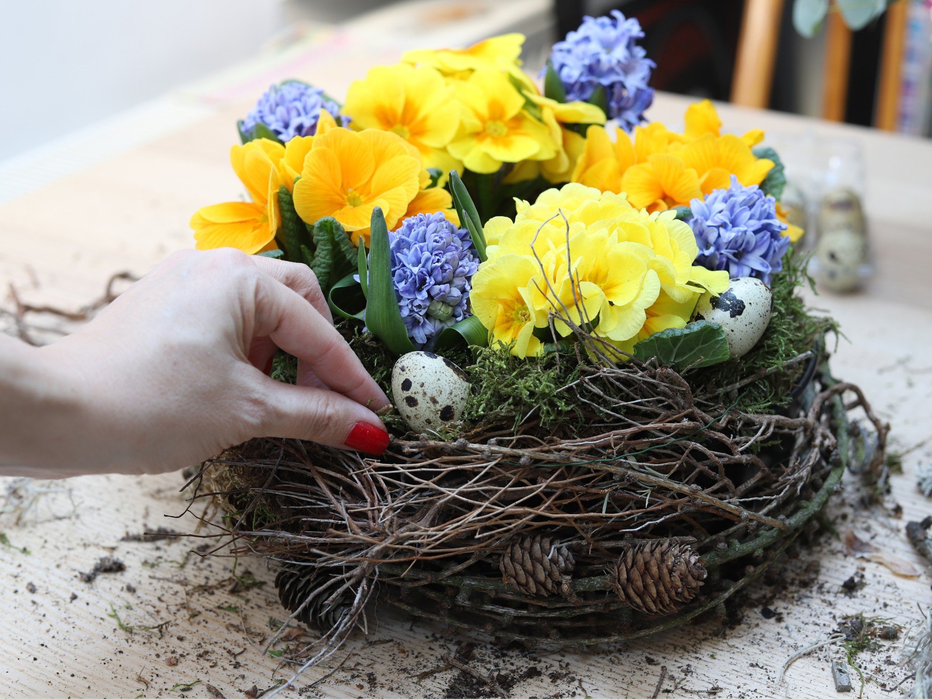 Árvácskák, jácintok és más tavaszi hagymás növények kuglófformába ültetve