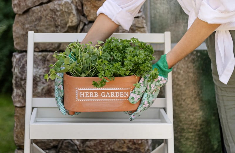 Tavaszi inspiráció: Tippek az otthoni kertészkedéshez