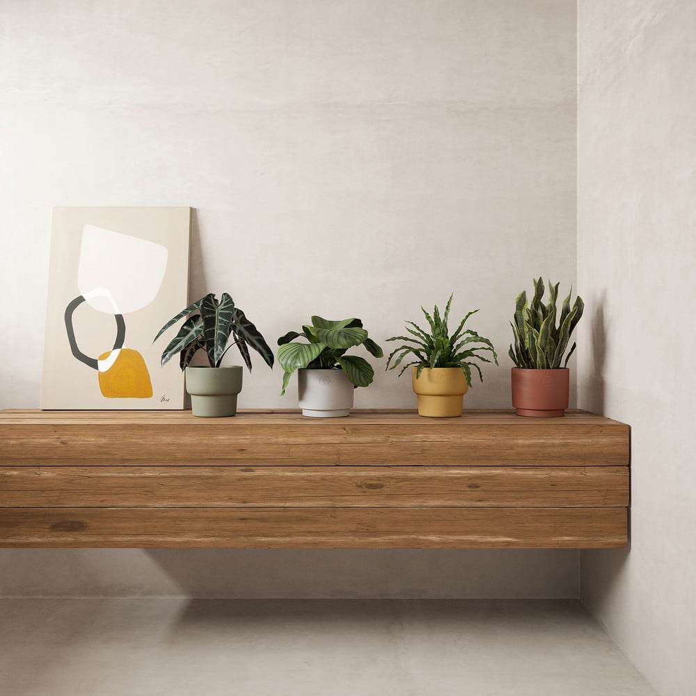 Inspirációk: Dekoráció