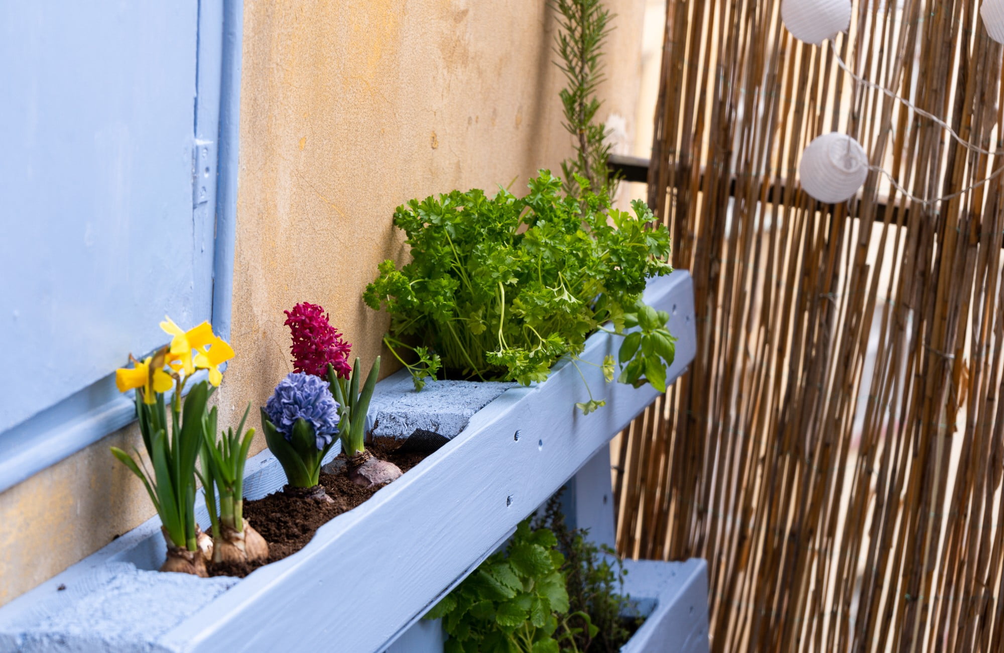 Még egy kis erkélyen is sok fűszernövényt és zöldséget termeszthetsz.