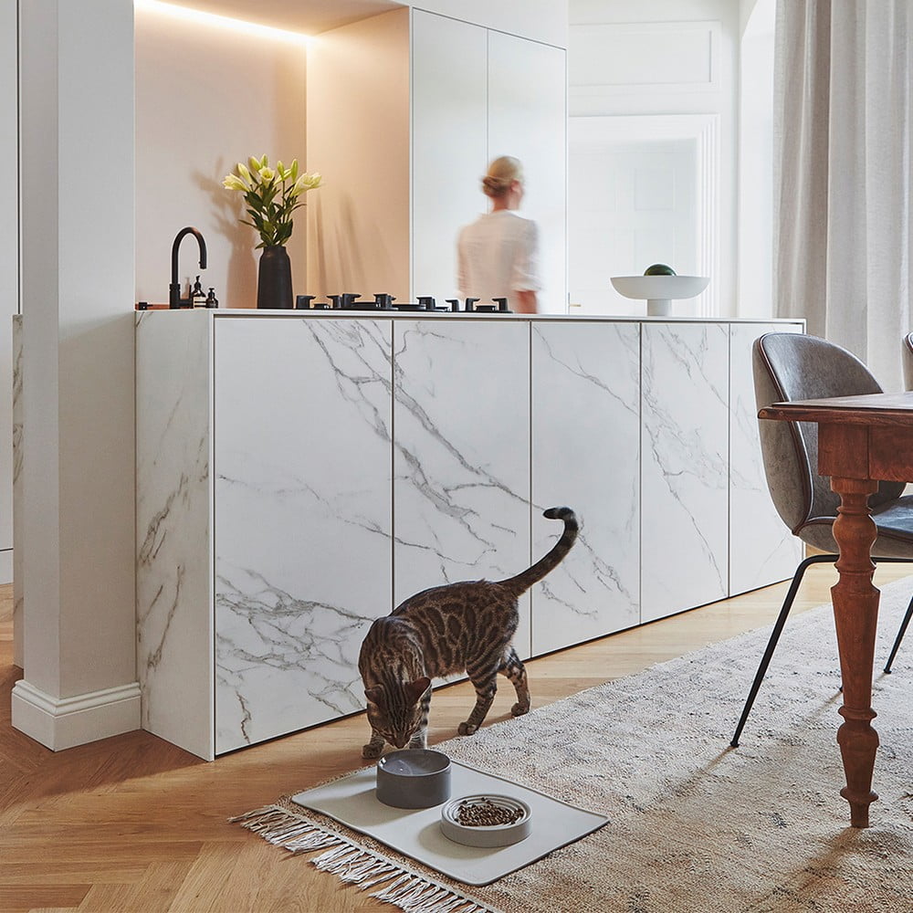 Inspirációk: Házi kedvenceknek