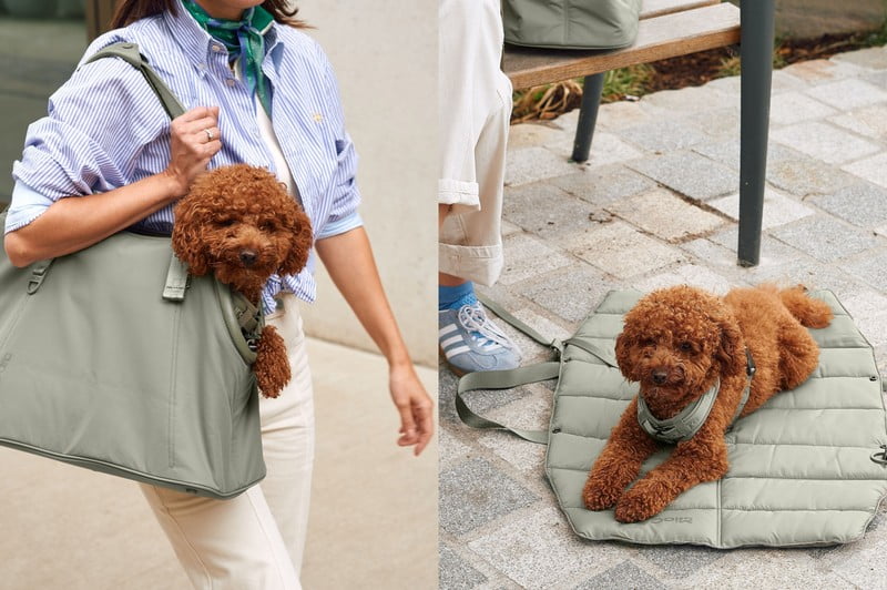 Inspirációk: Házi kedvenceknek