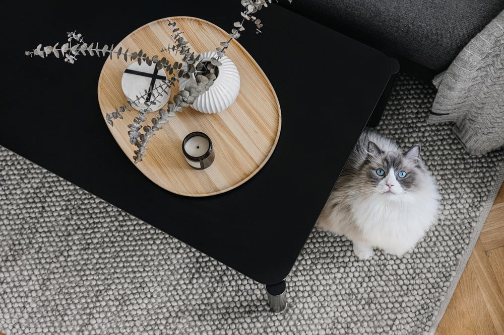 Inspirációk: Nappali, Skandináv stílus