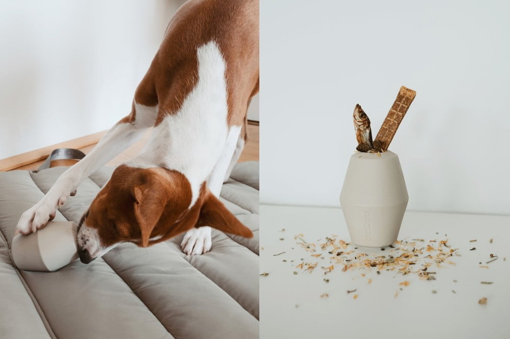 Inspirációk: Házi kedvenceknek