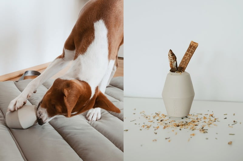 Inspirációk: Házi kedvenceknek