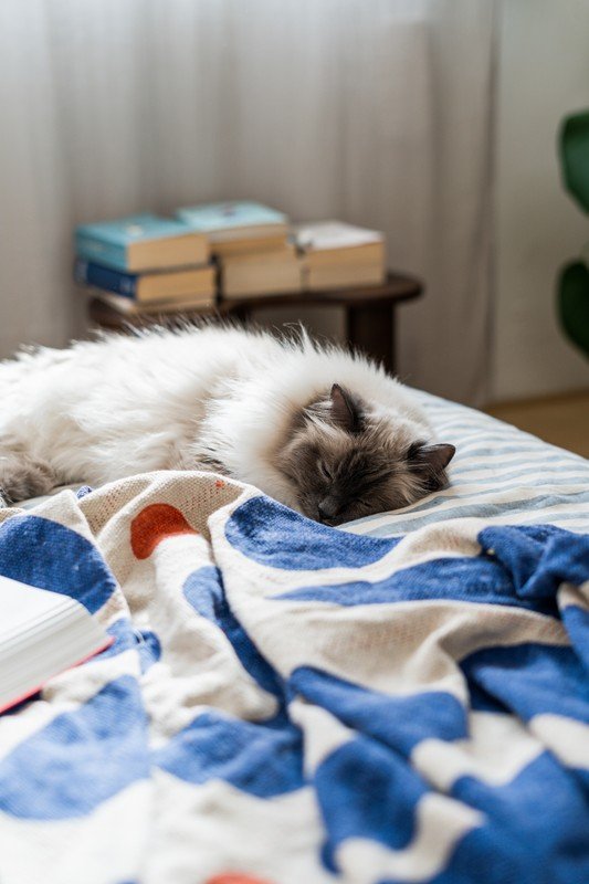 Inspirációk: Dekoráció