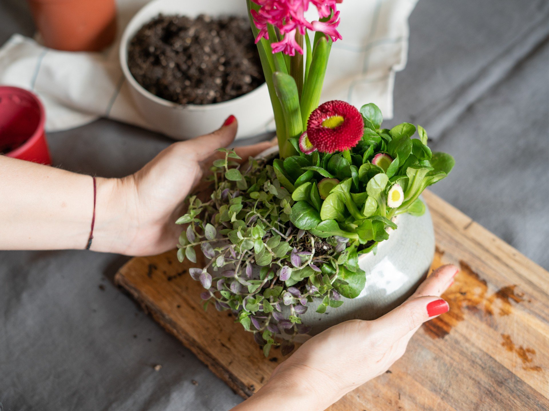 Tavaszi dekoráció hagymás és virágzó növényekkel