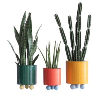 Virágok és virágtartók