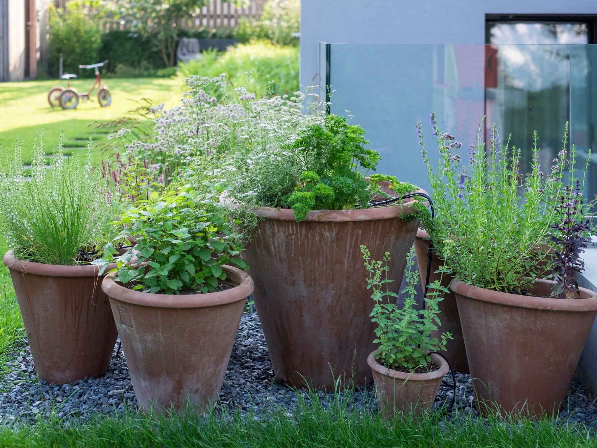 A gyógynövények és gyümölcsök termesztéséhez különböző méretű kültéri cserepeket válassz.