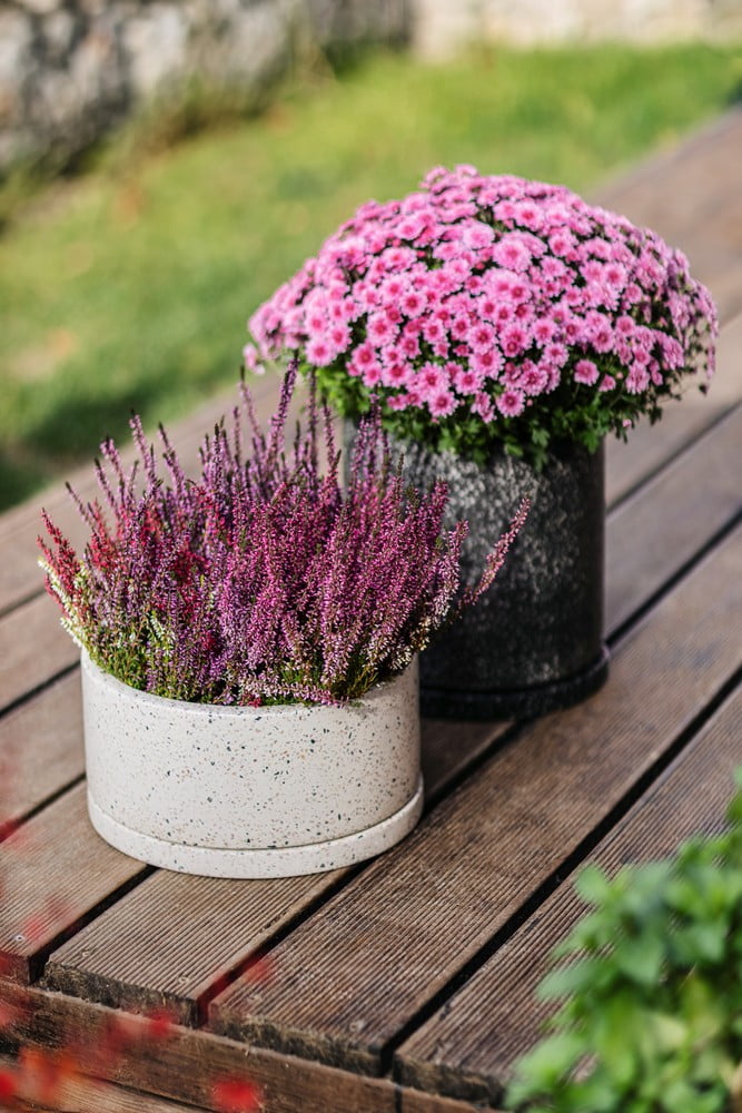 Inspirációk: Kert, Erkély és terasz, Rusztikus stílus