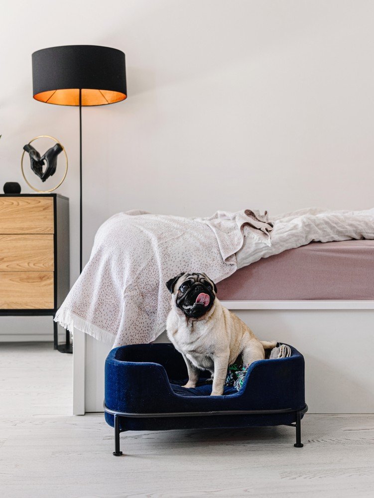 Inspirációk: Hálószoba