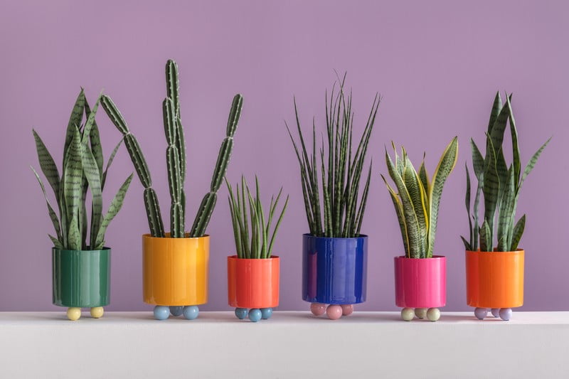 Inspirációk: Dekoráció