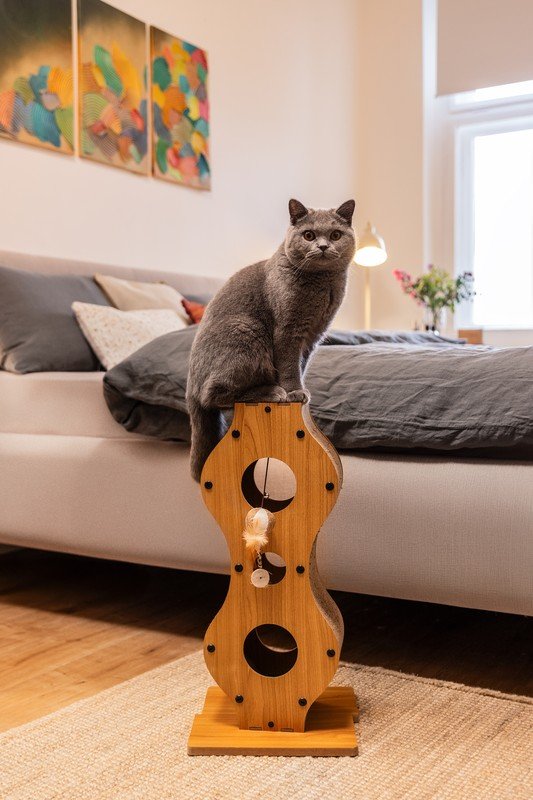 Inspirációk: Vendégségben